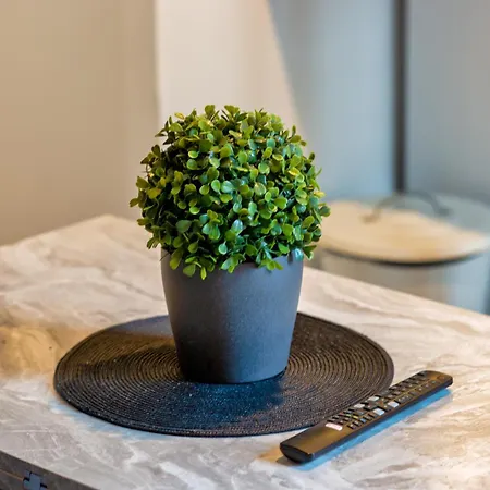 Διαμέρισμα Le Music Votre Joli F2 Au Coeur De !